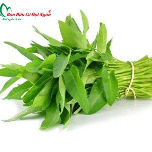 Rau Muống Hữu Cơ Đại Ngàn