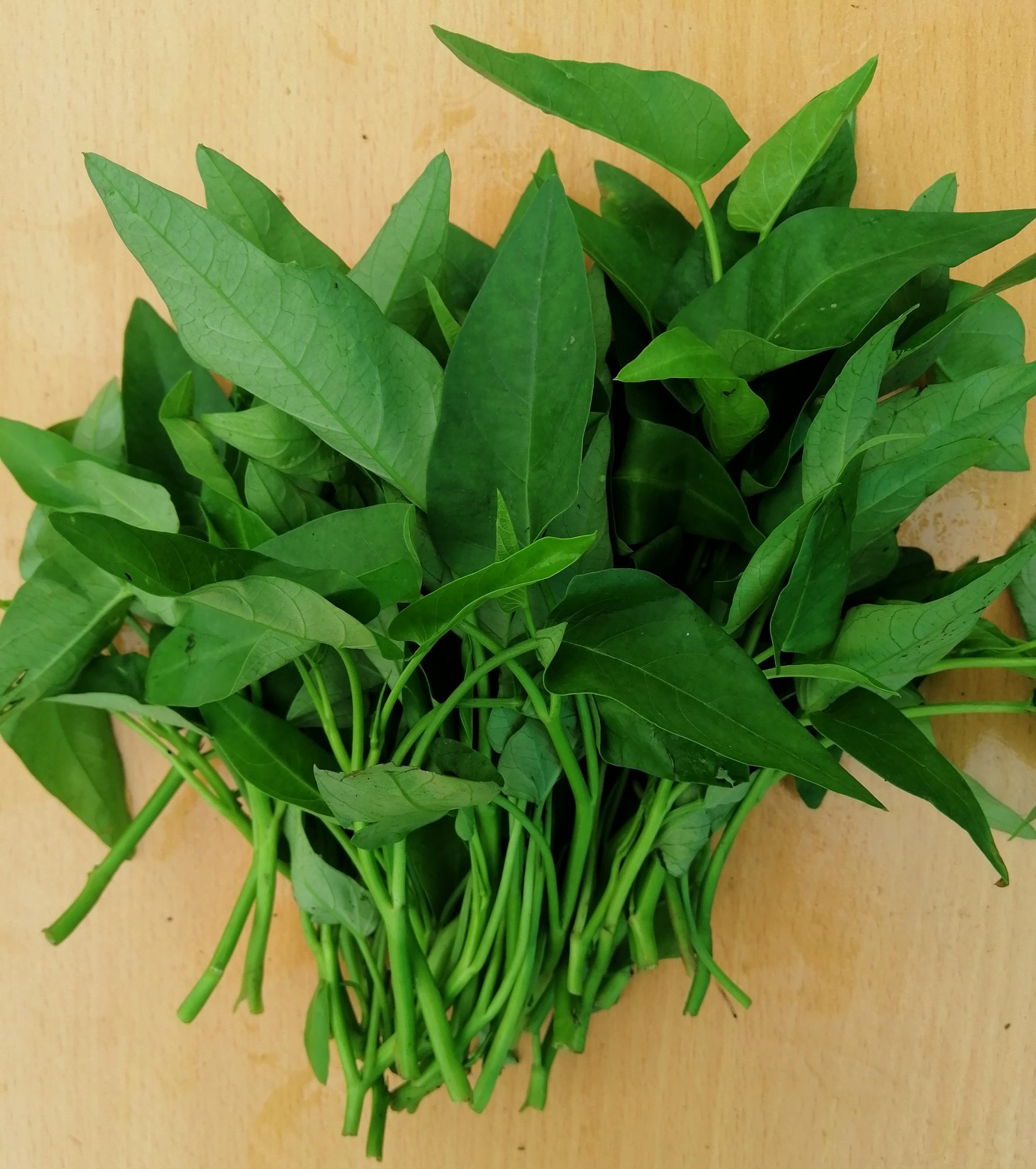 Rau Muống Hữu Cơ Đại Ngàn - Ảnh 5