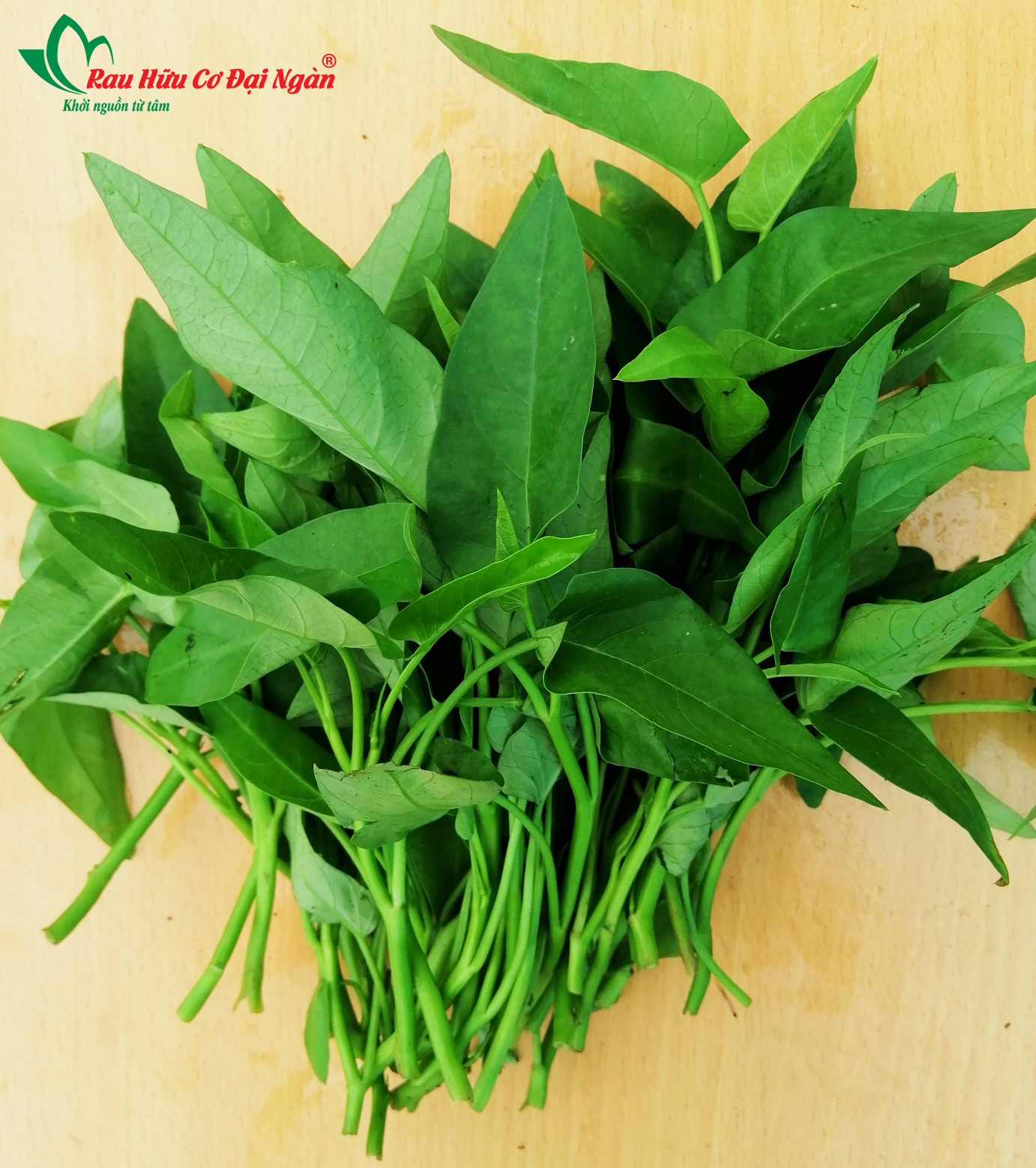 Rau Muống Hữu Cơ Đại Ngàn - Ảnh 4