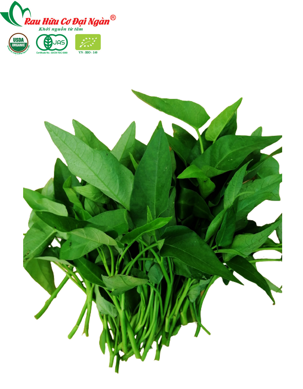 Rau Muống Hữu Cơ Đại Ngàn - Ảnh 3