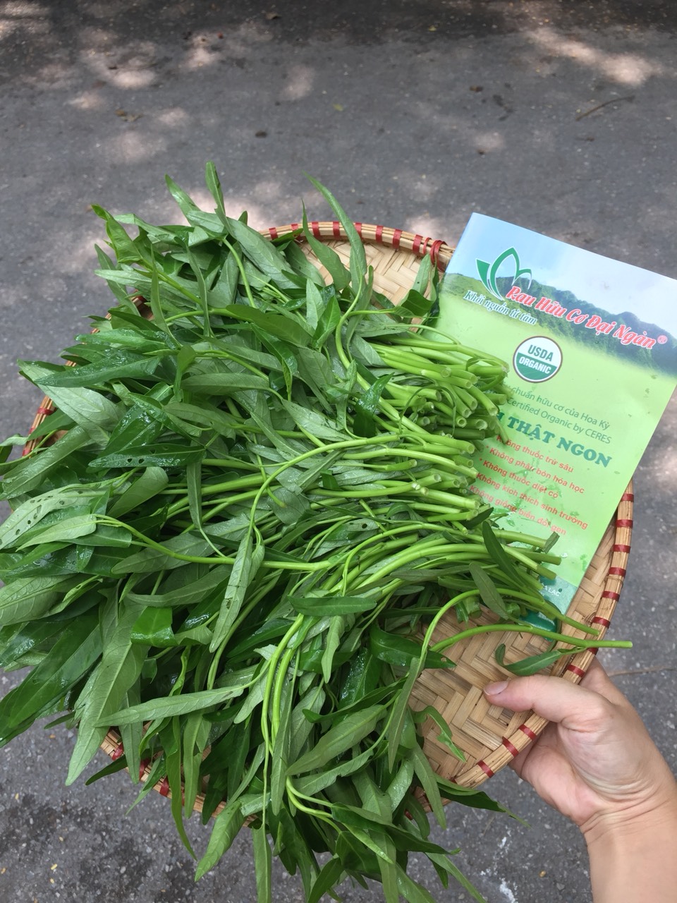 Rau Muống Hữu Cơ Đại Ngàn - Ảnh 2