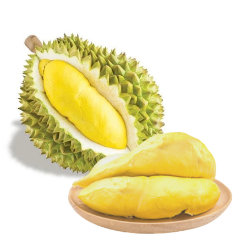 Sầu Riêng Ri6 Huỳnh Lâm