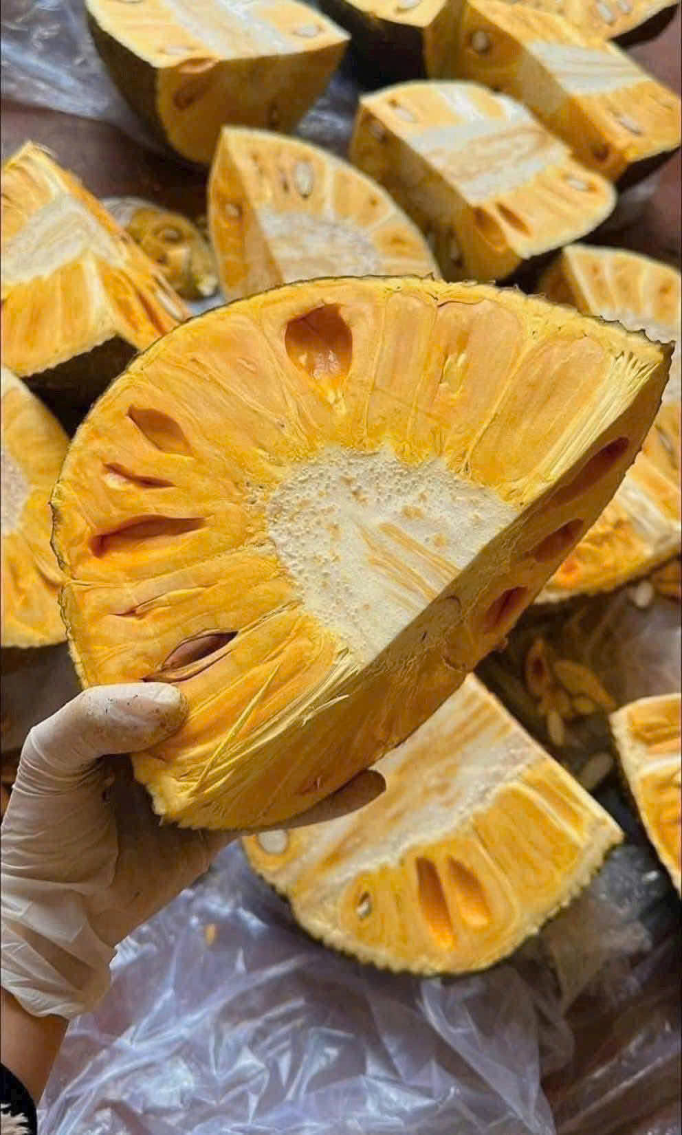 Mít Tươi - Ảnh 4