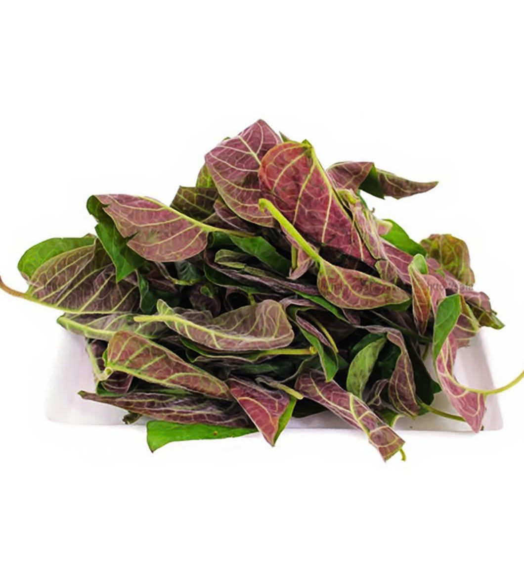 Lá Mơ Tươi