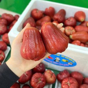 Roi Gấu Trúc