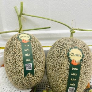 Dưa Lưới Mật Bảy Núi