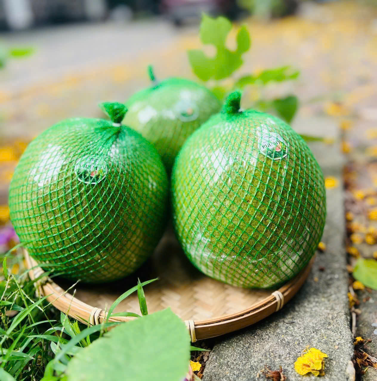 Bưởi Da Xanh Phú Mỹ - Ảnh 2