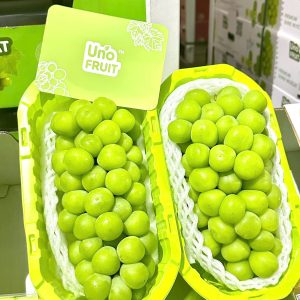 Nho Sữa Shine Muscat Premium Hộp xanh