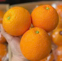 Cam Kính