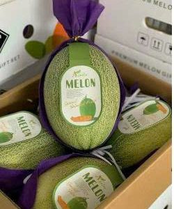 Dưa Aladin Đài Loan MeLon size A