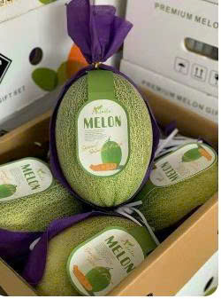 Dưa Aladin Đài Loan MeLon size A