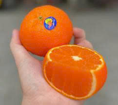Quýt Úc iron bark sweet mandarins sz 48