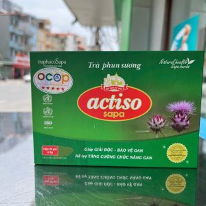 Trà Phun Sương Actiso Sapa (Hộp 30 gói x 2g)