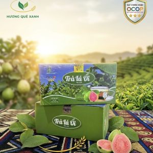 OCOP 3 Sao - Trà lá ổi túi lọc gói Hộp 30 gói x 3g