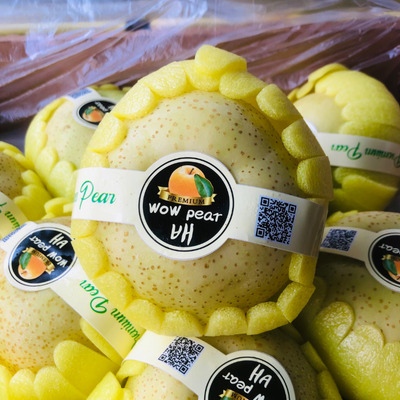 Lê Sữa Hàn Quốc